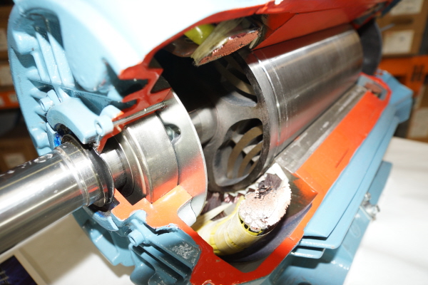 Motorul cu reluctanţa comutată fără înfăşurări pe rotor