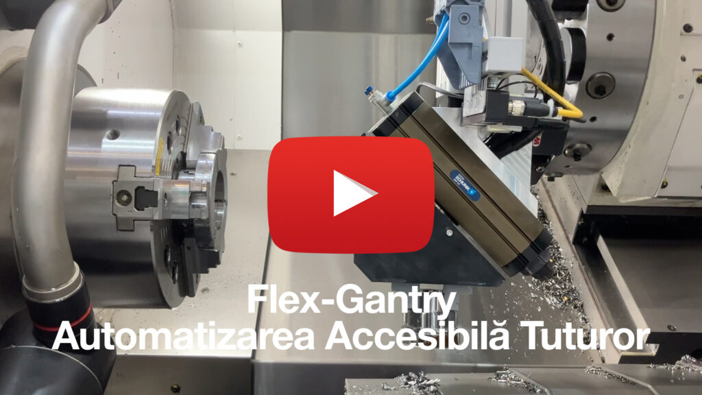 Flex Gantry - Flex Automation - VIdeo
